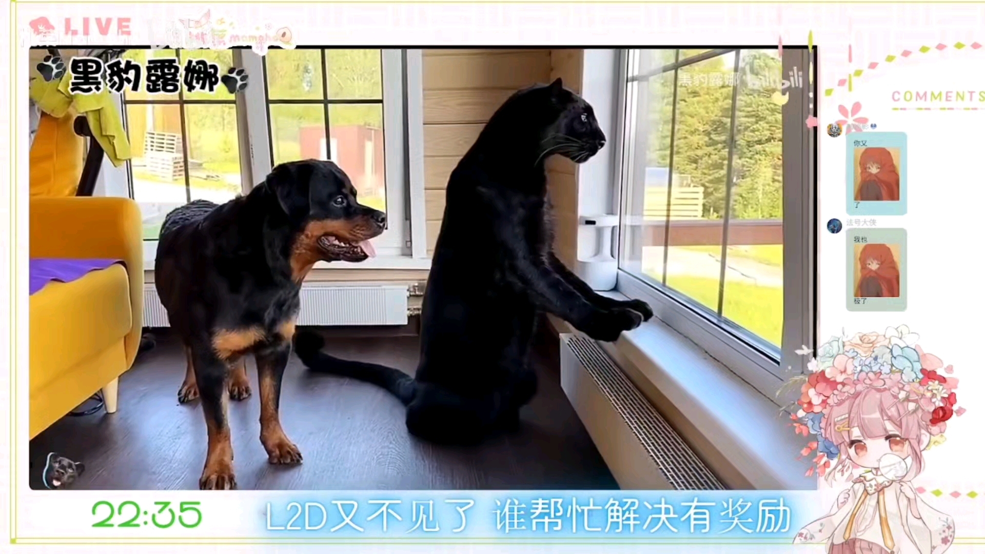 封面无法加载