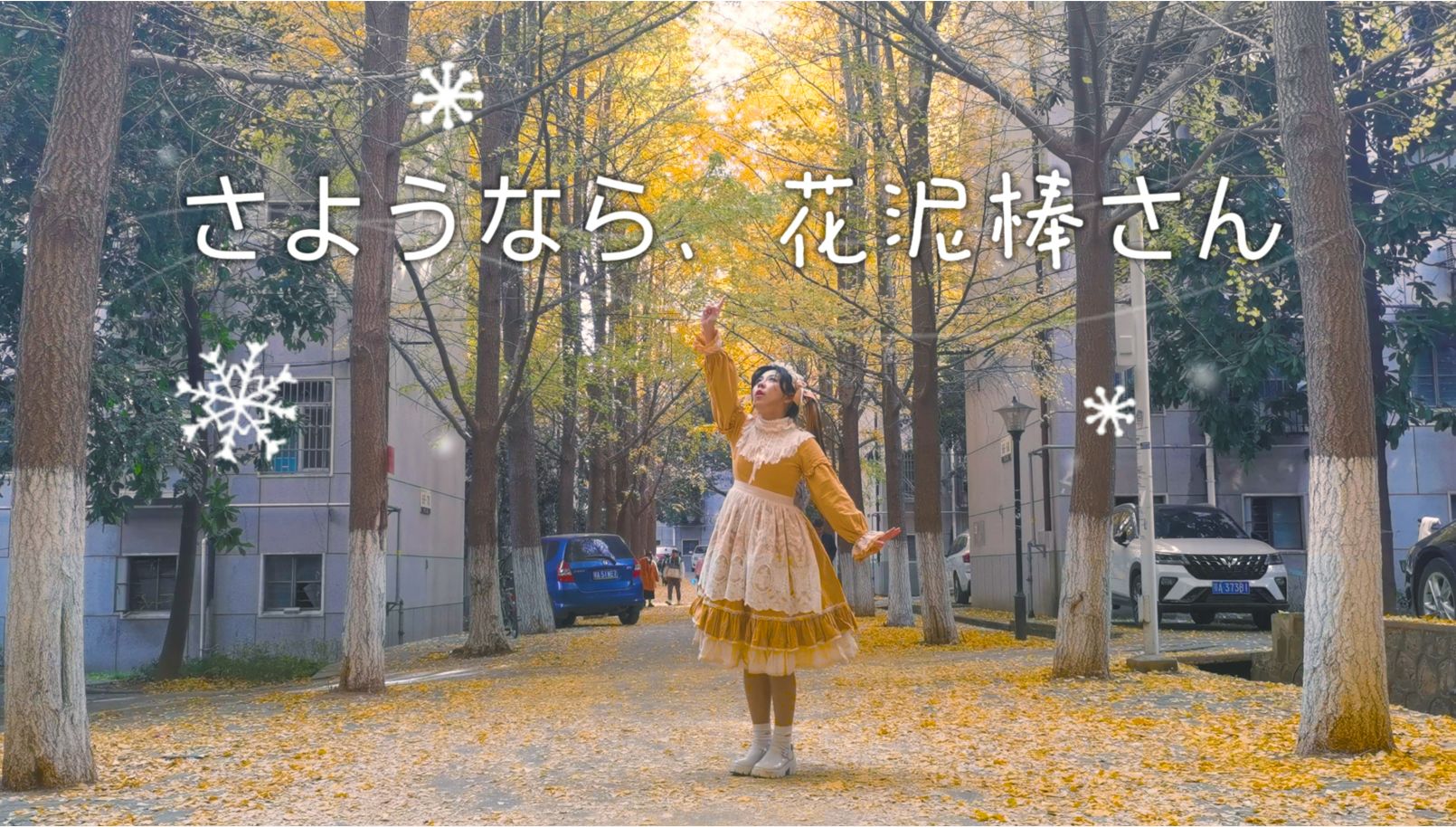 封面无法加载