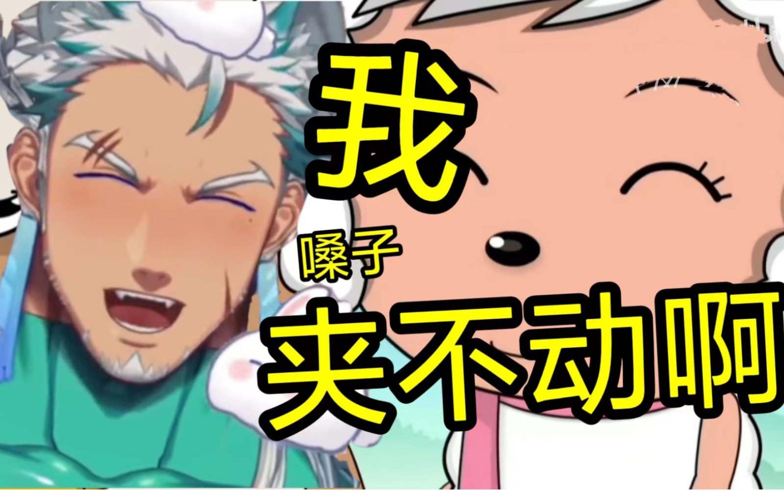 封面无法加载