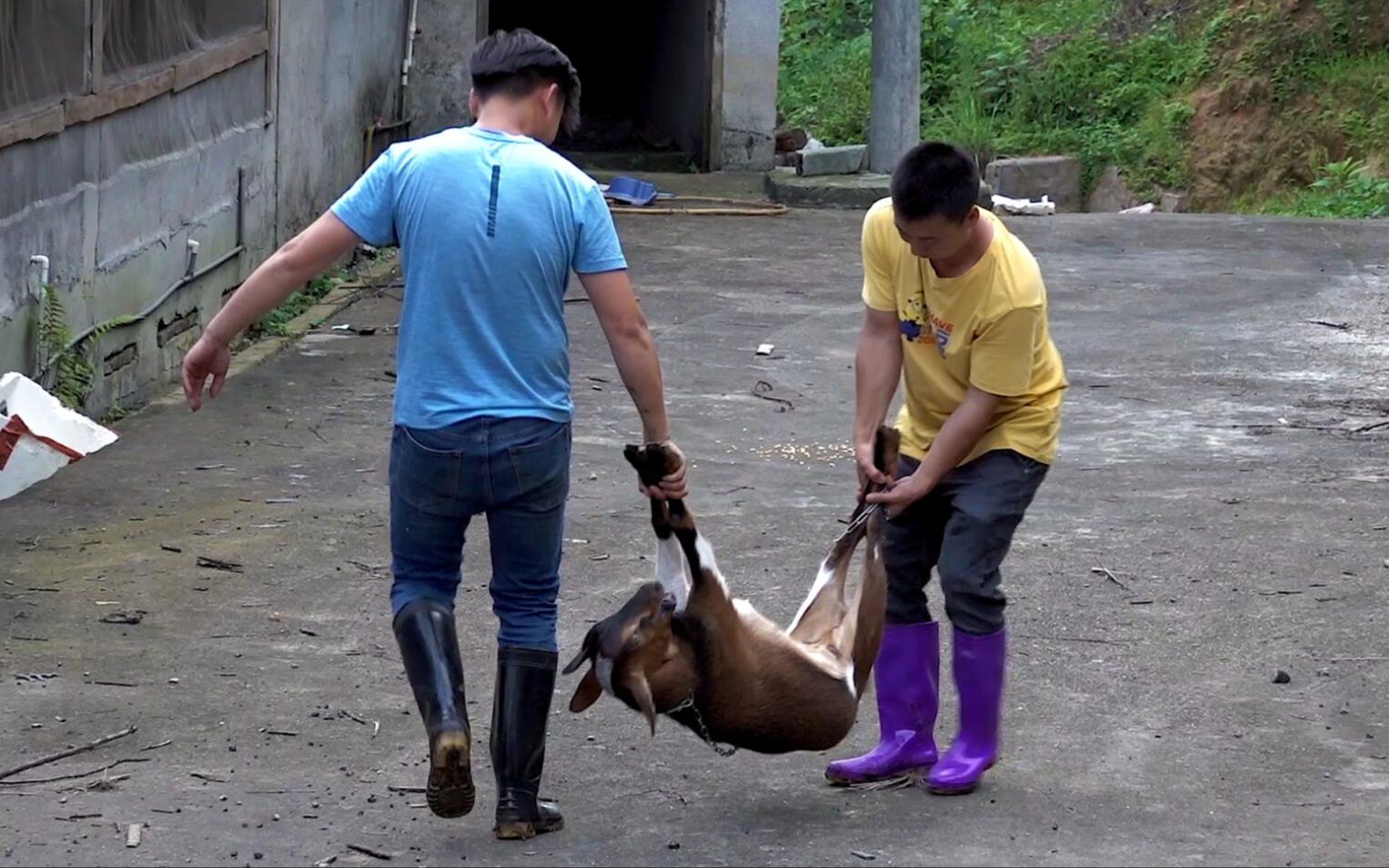 封面无法加载