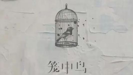 封面无法加载