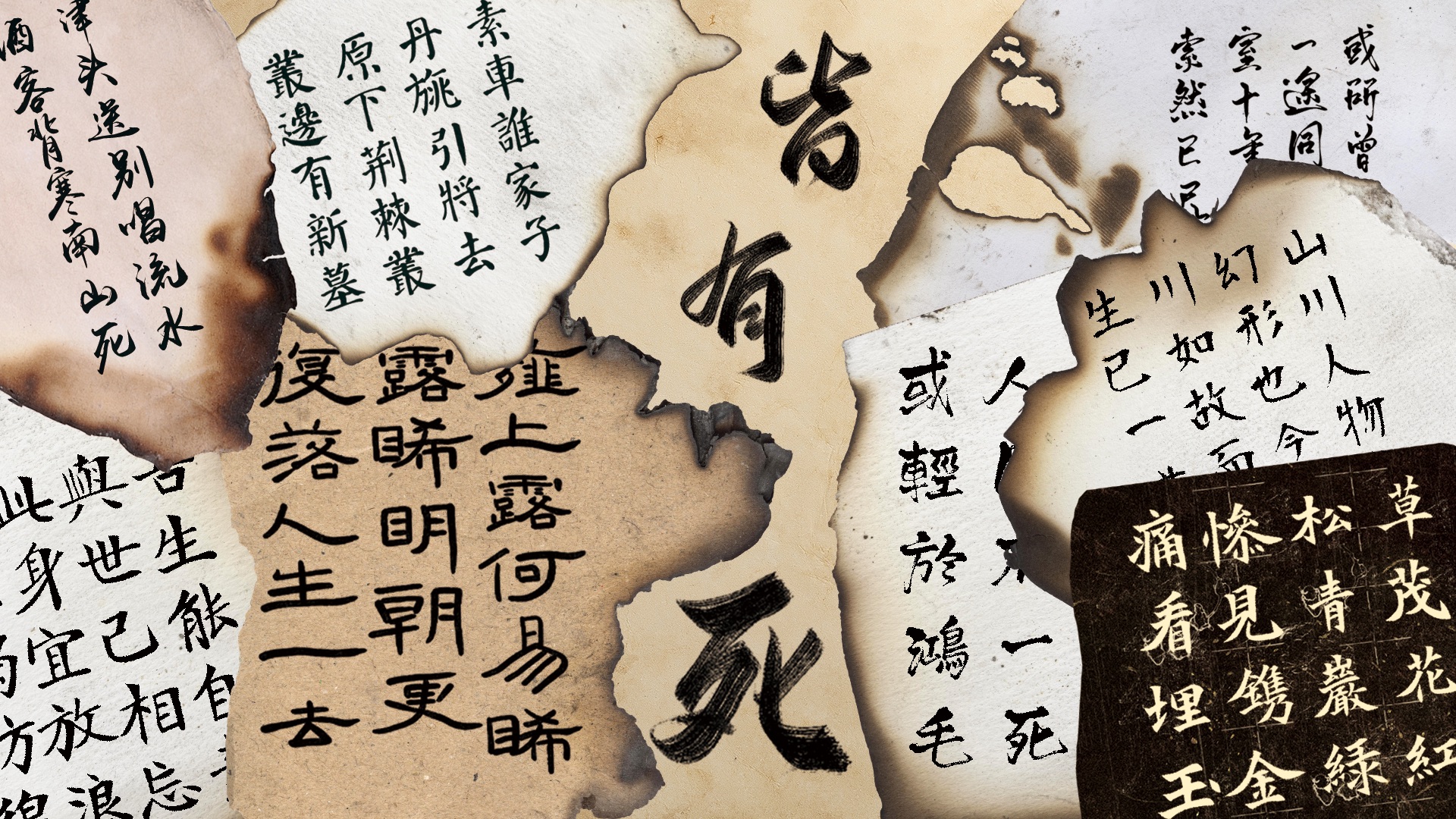 封面无法加载