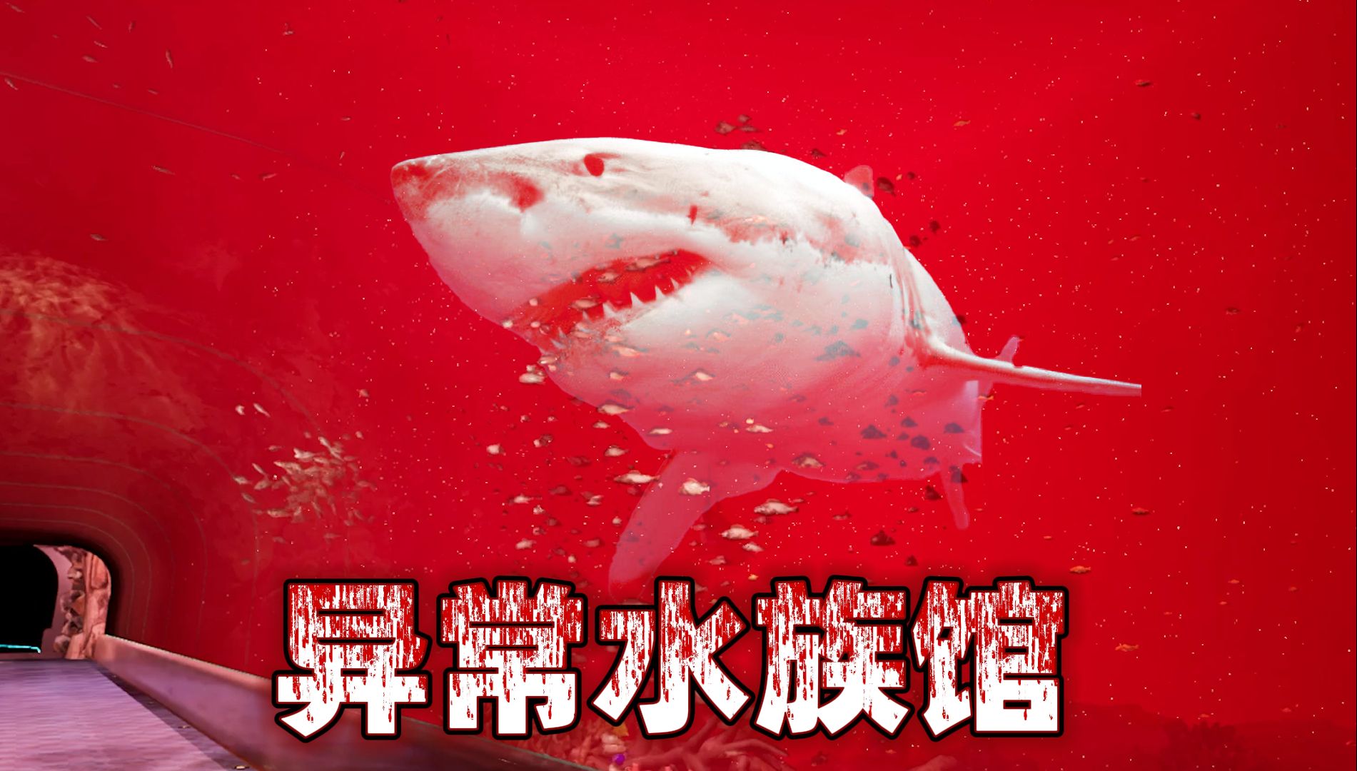 封面无法加载