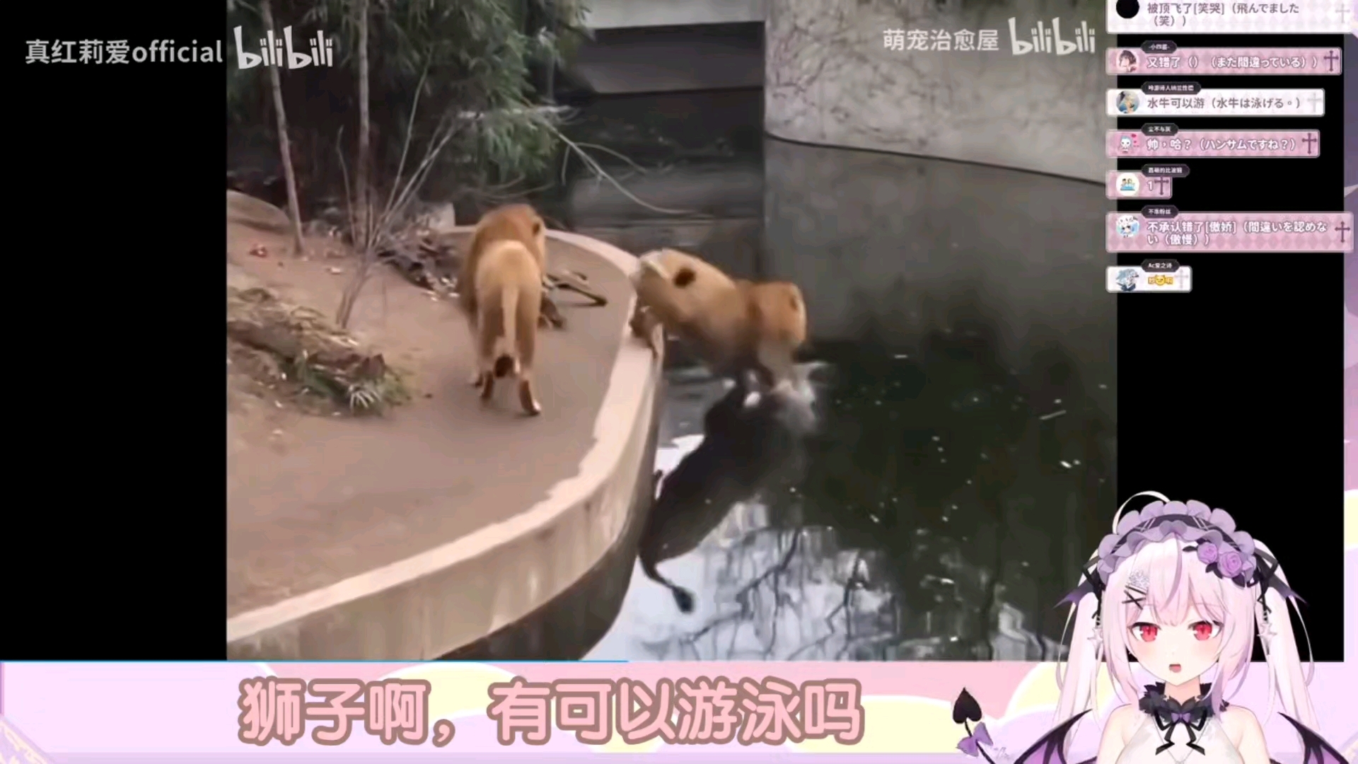 封面无法加载