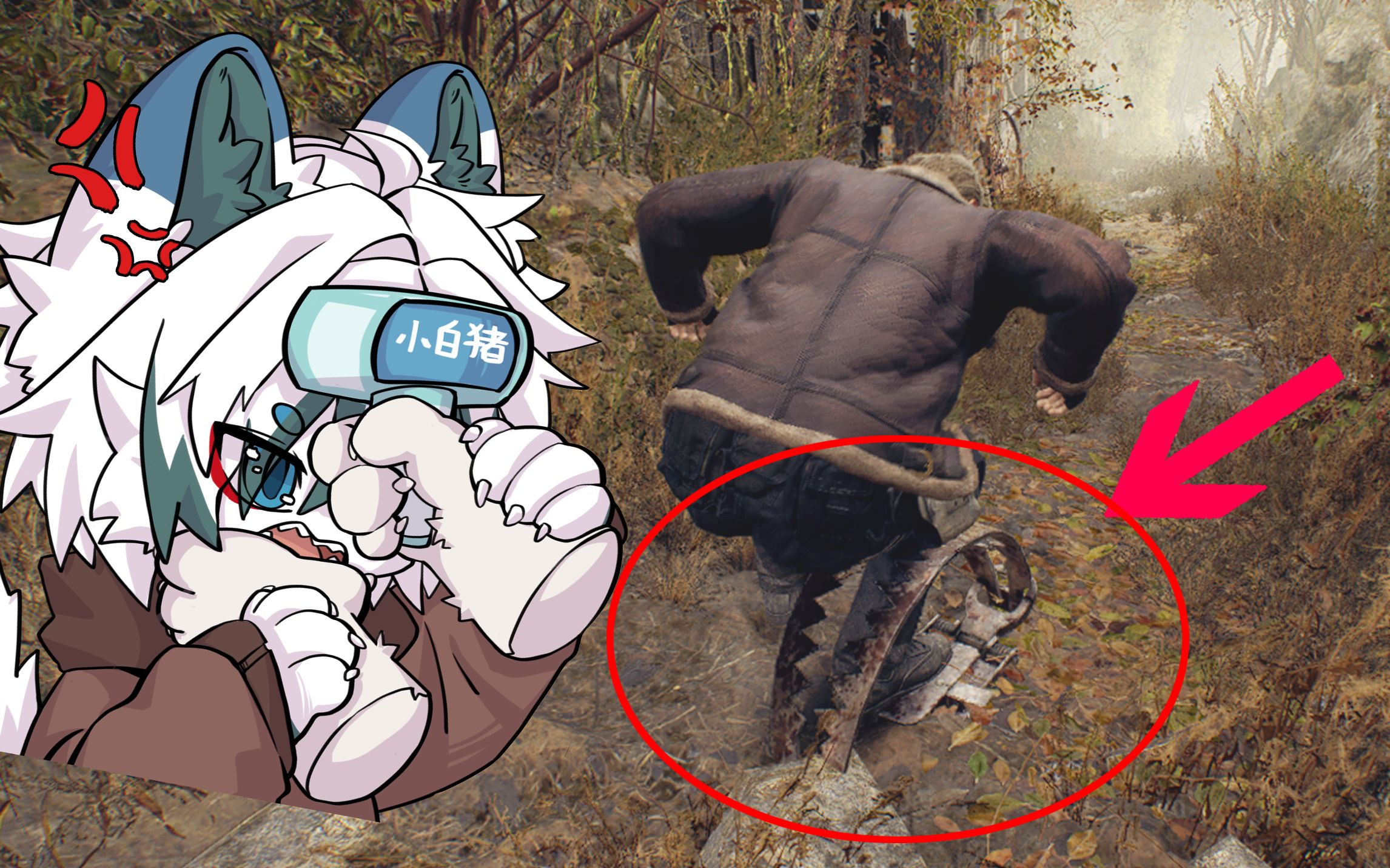 封面无法加载