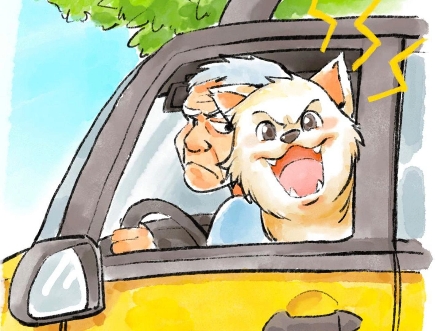 封面无法加载