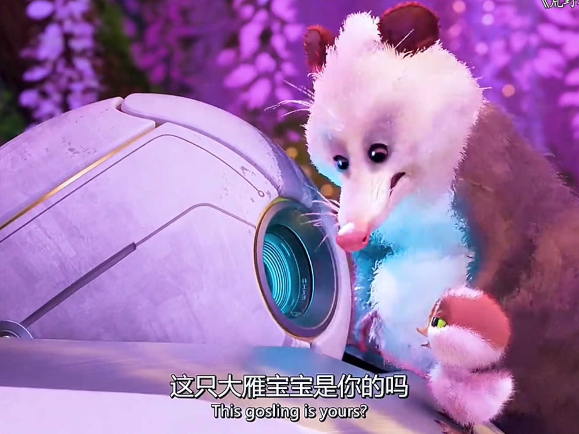 封面无法加载
