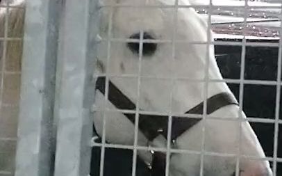 封面无法加载