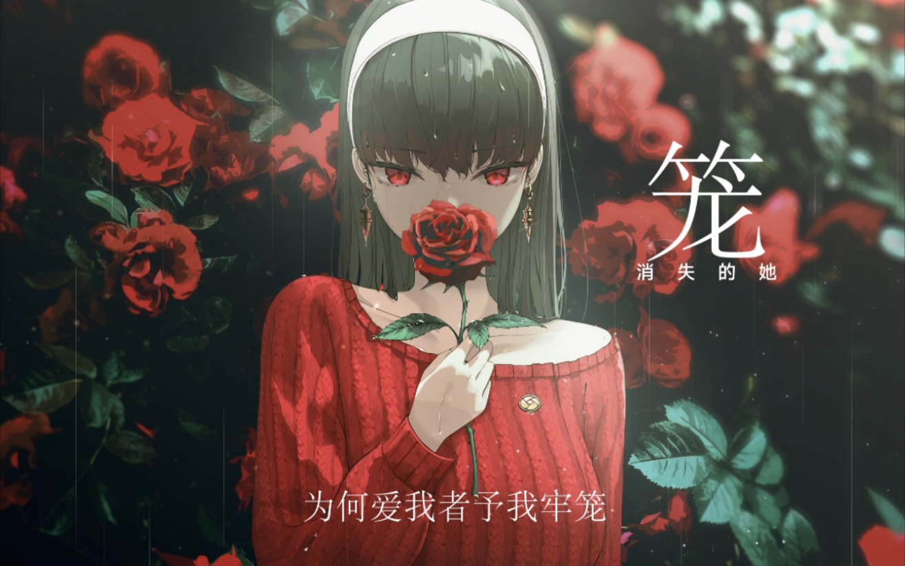 封面无法加载