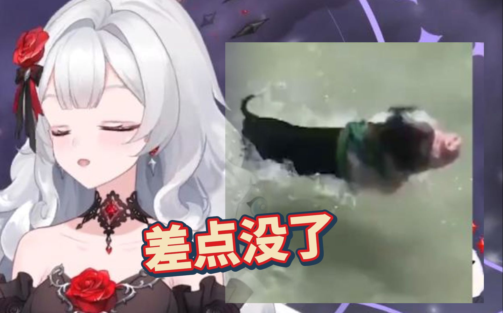 封面无法加载