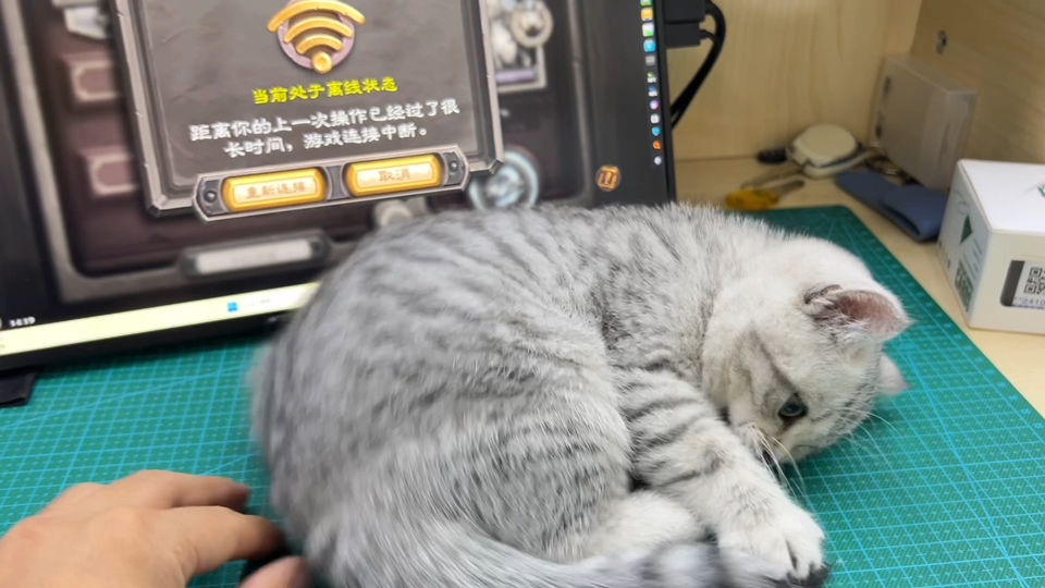 封面无法加载