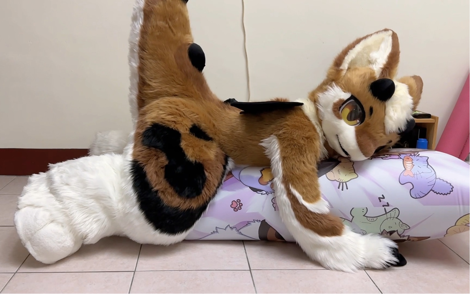 封面无法加载