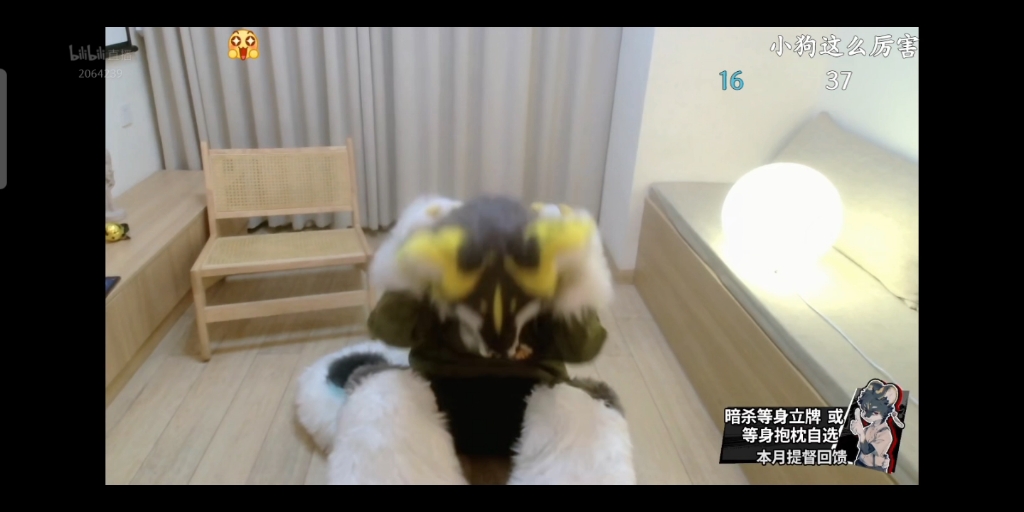 封面无法加载