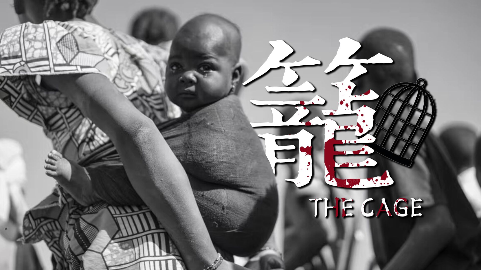 封面无法加载