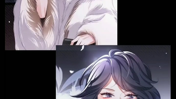 封面无法加载