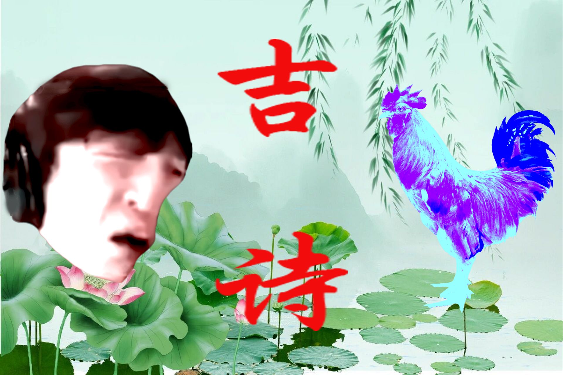 封面无法加载