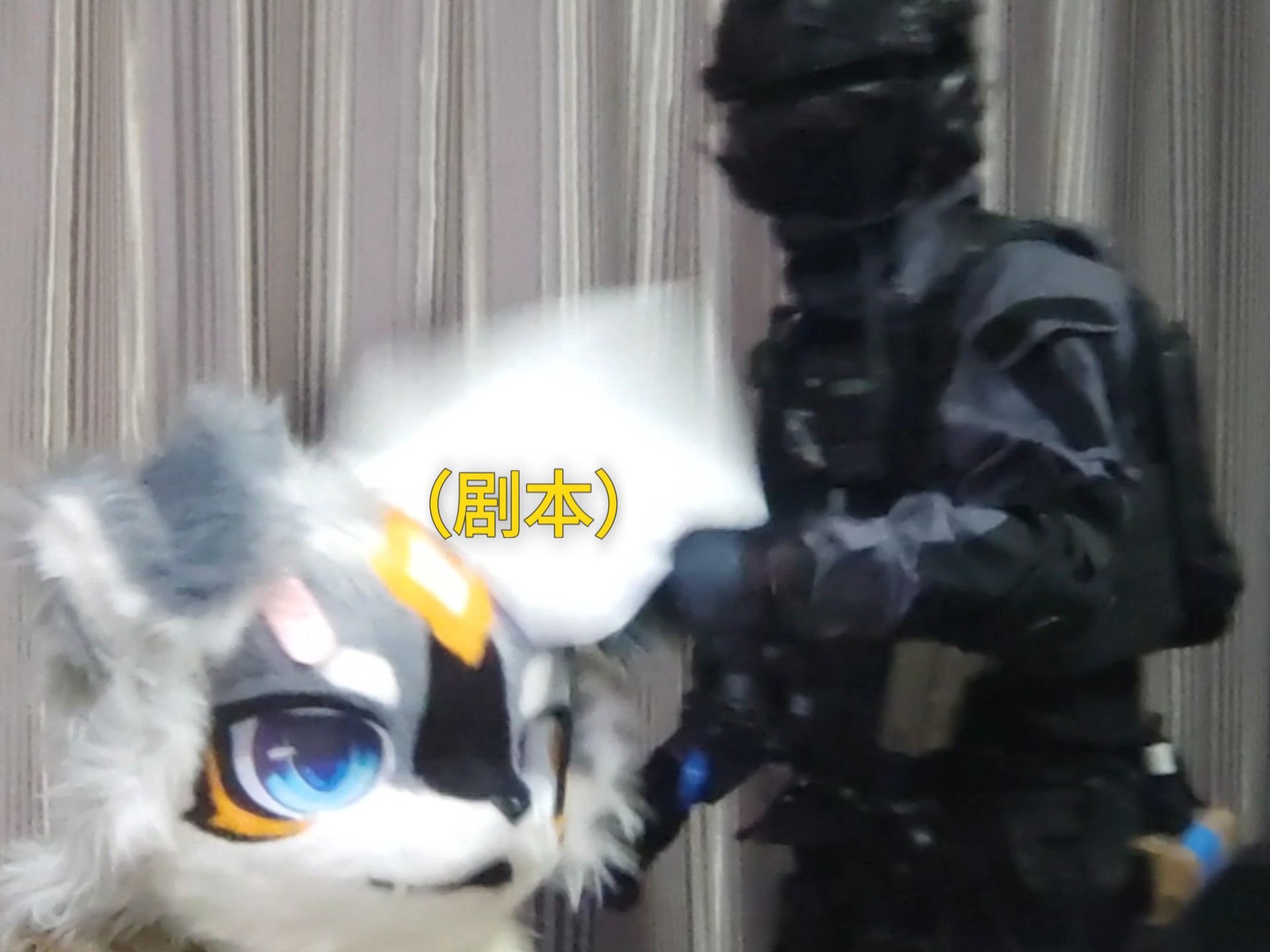 封面无法加载