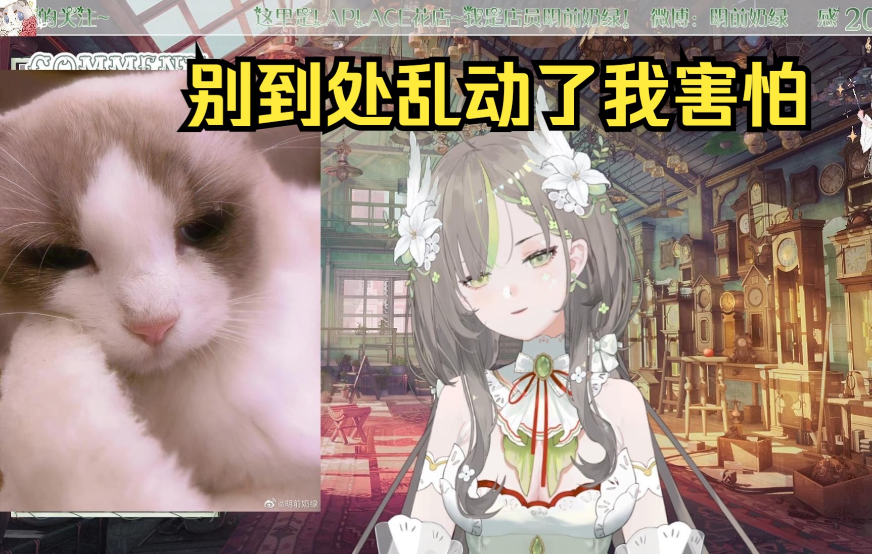 封面无法加载