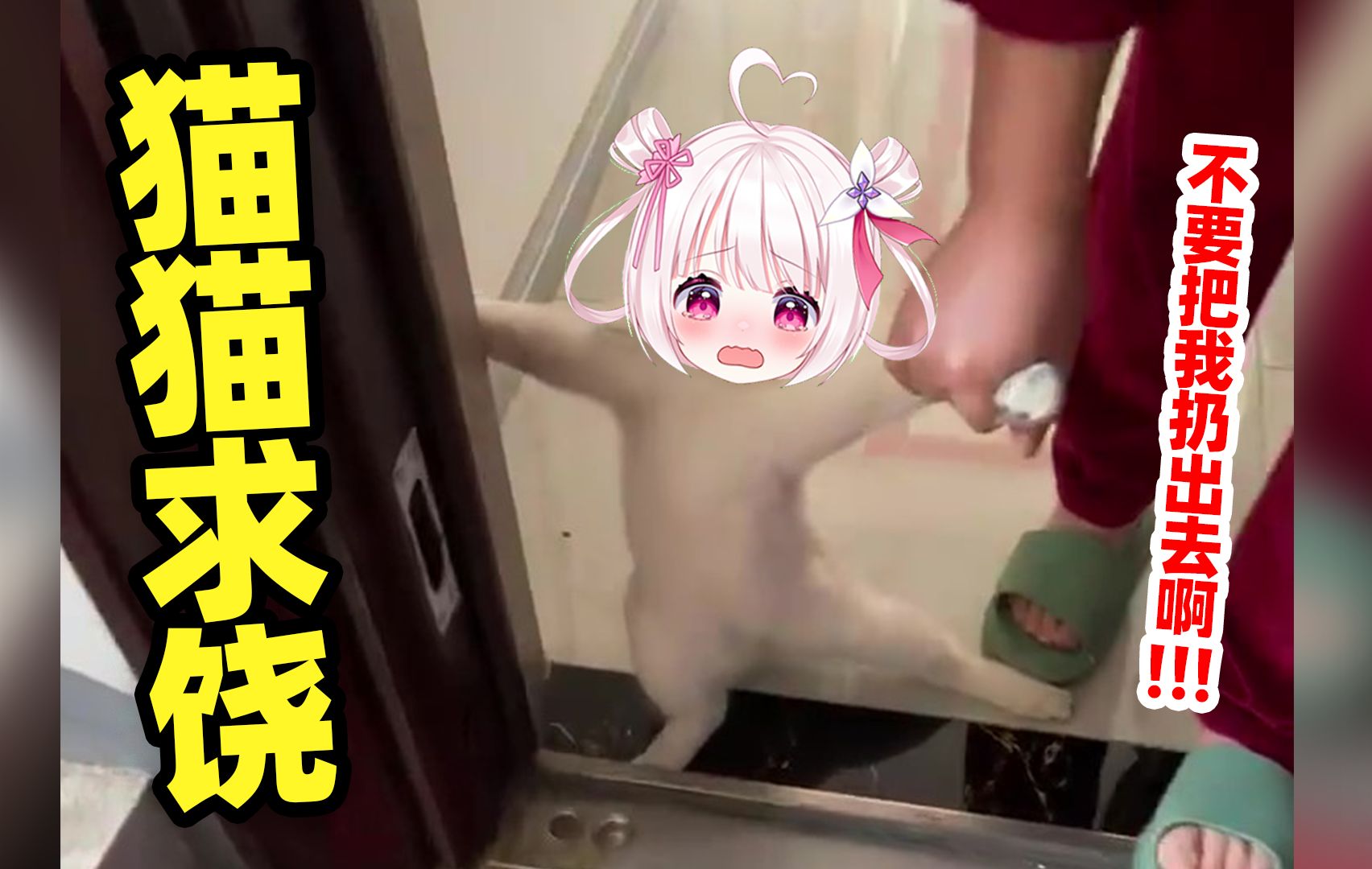 封面无法加载