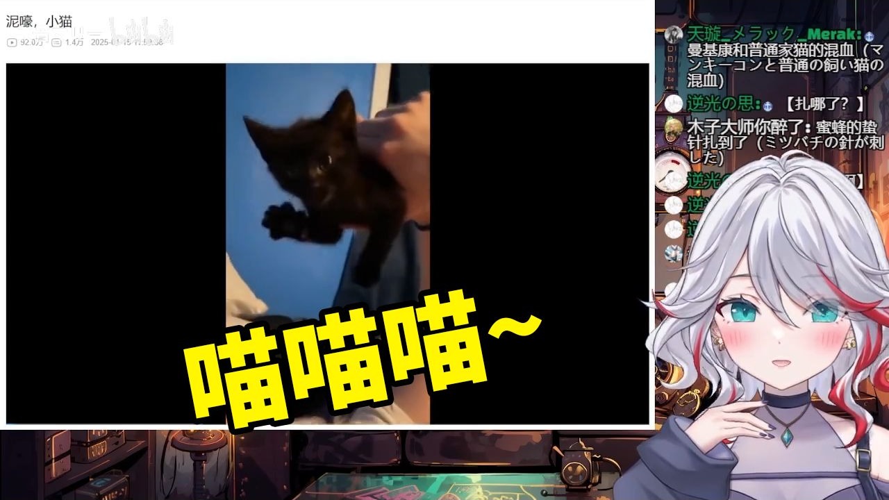 封面无法加载