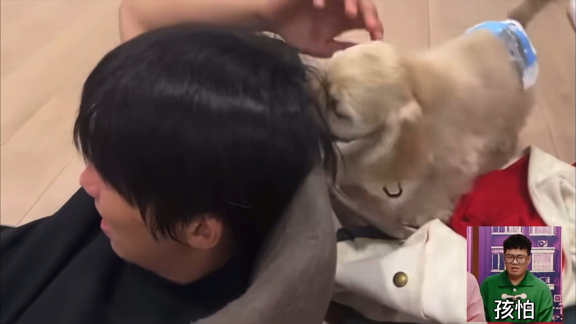 封面无法加载
