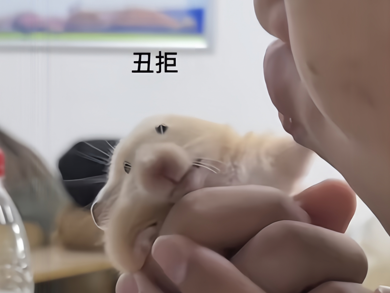 封面无法加载