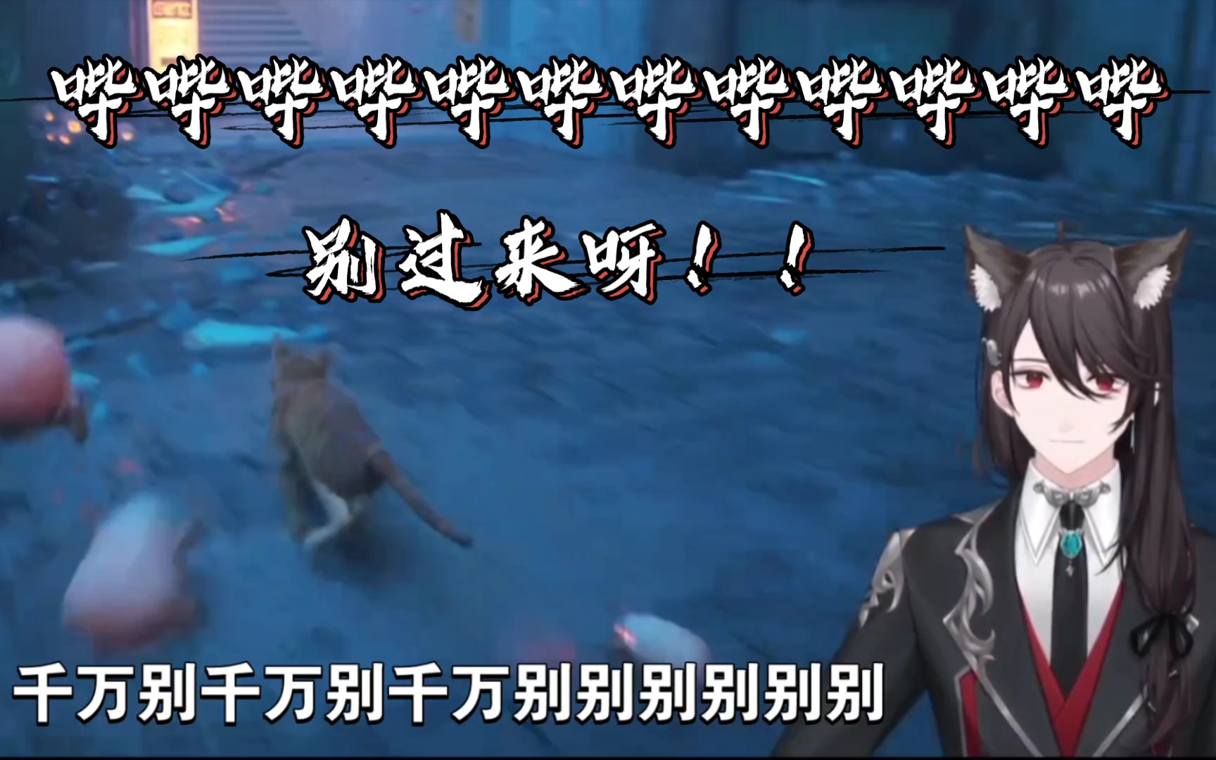 封面无法加载