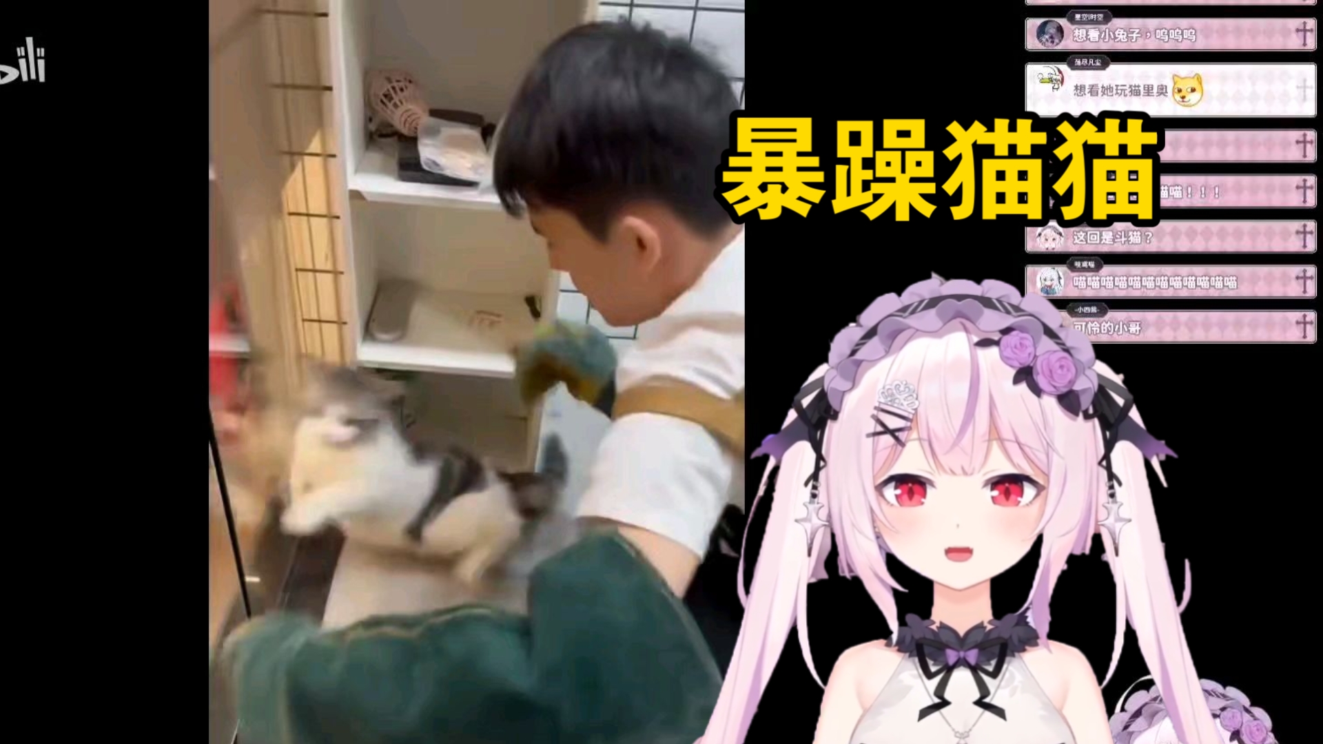 封面无法加载
