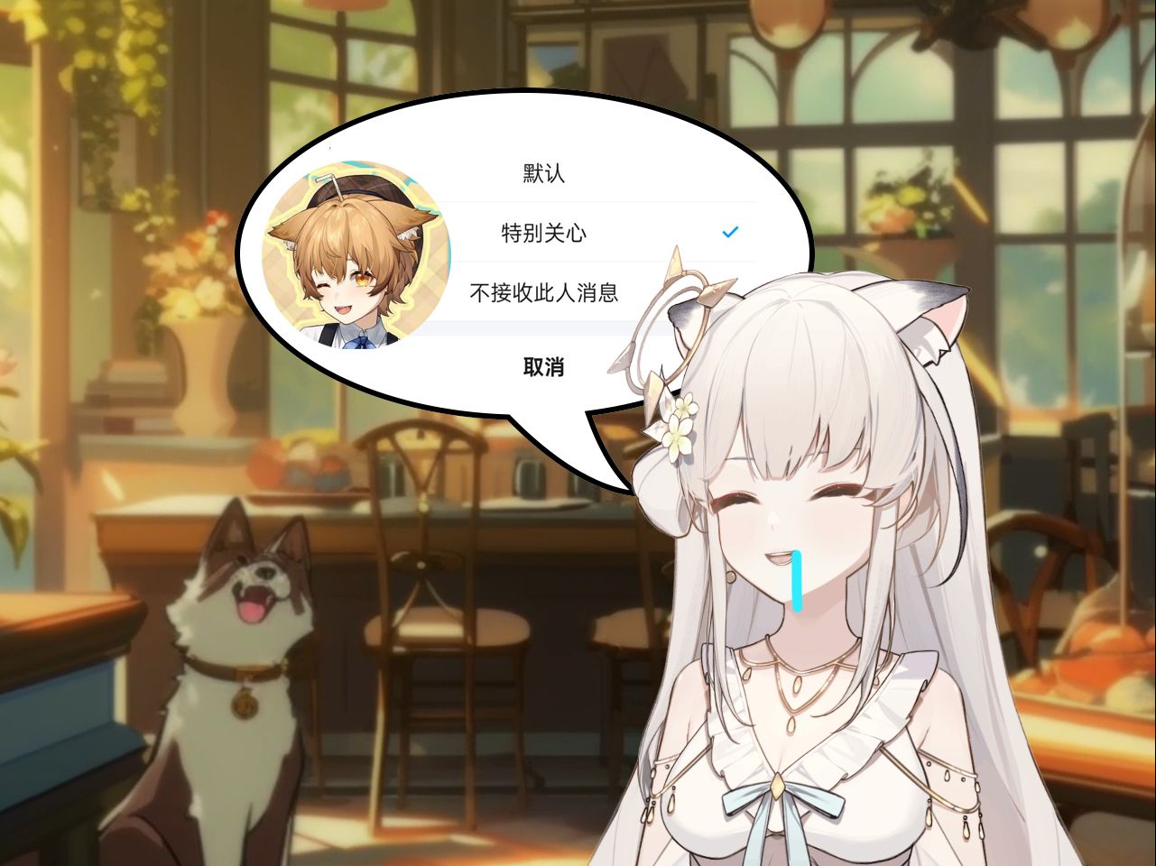 封面无法加载