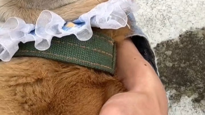 封面无法加载