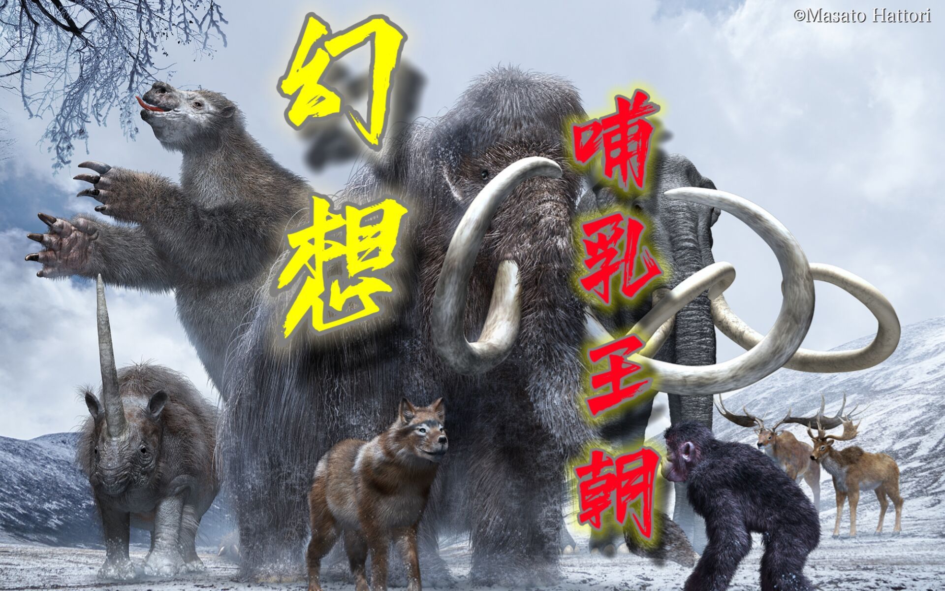 封面无法加载