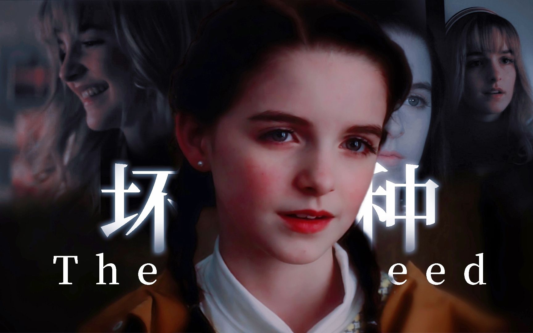 封面无法加载