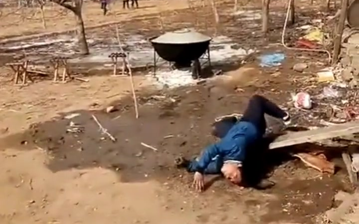 封面无法加载