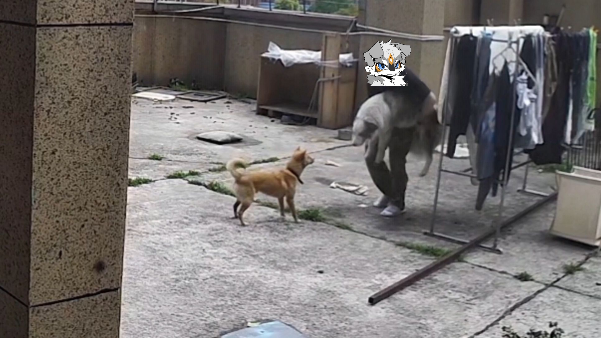 封面无法加载