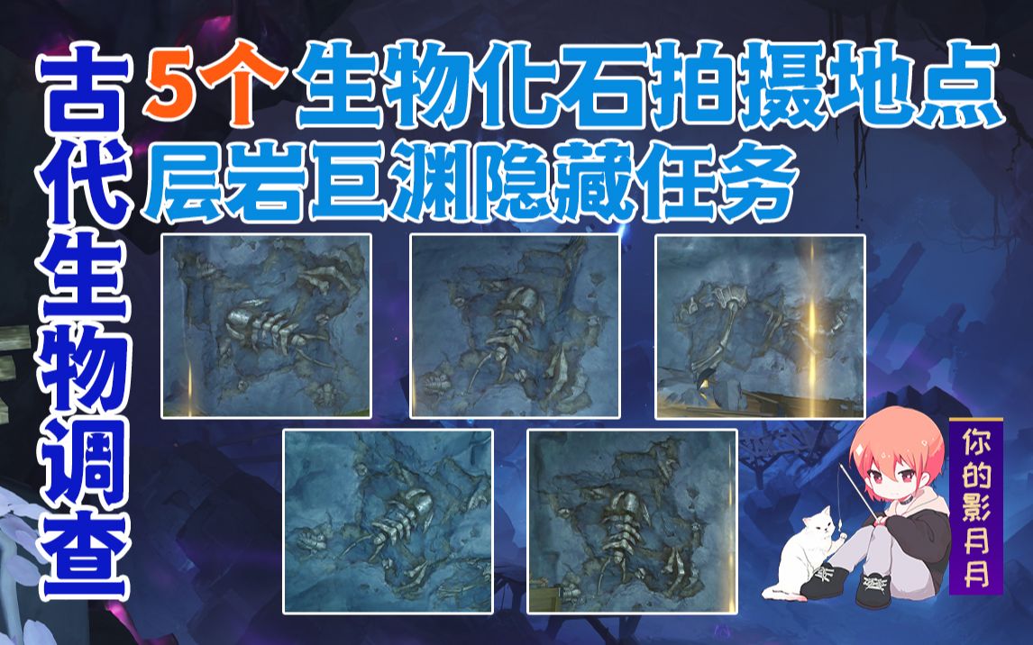封面无法加载