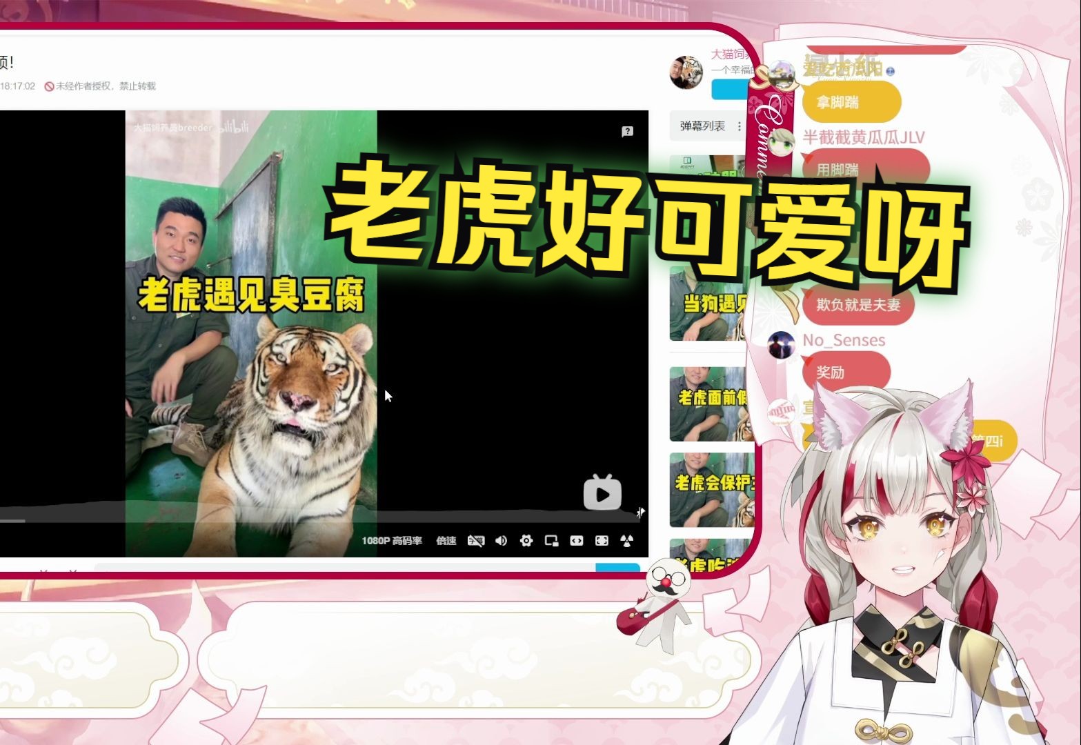 封面无法加载