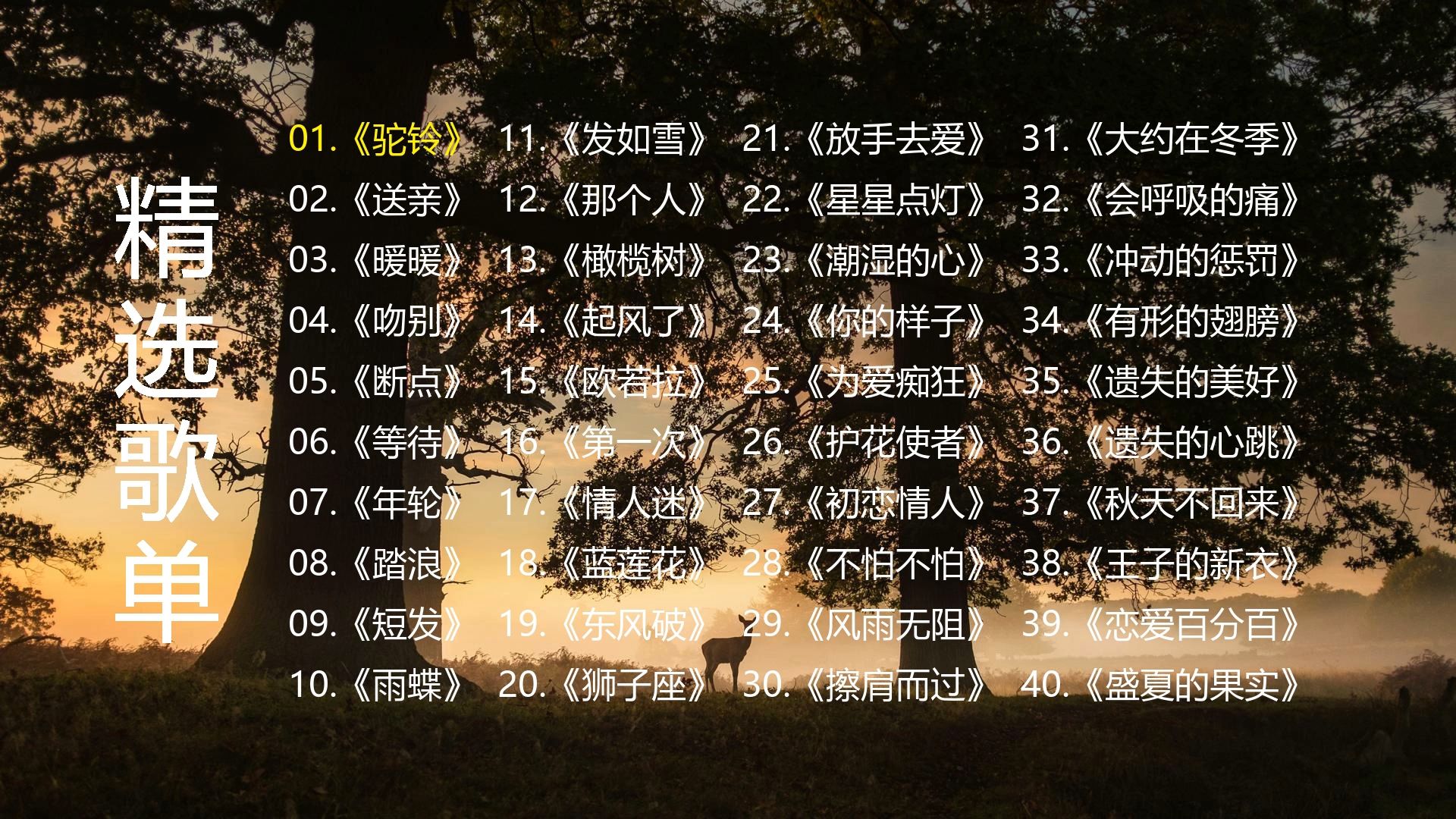 封面无法加载
