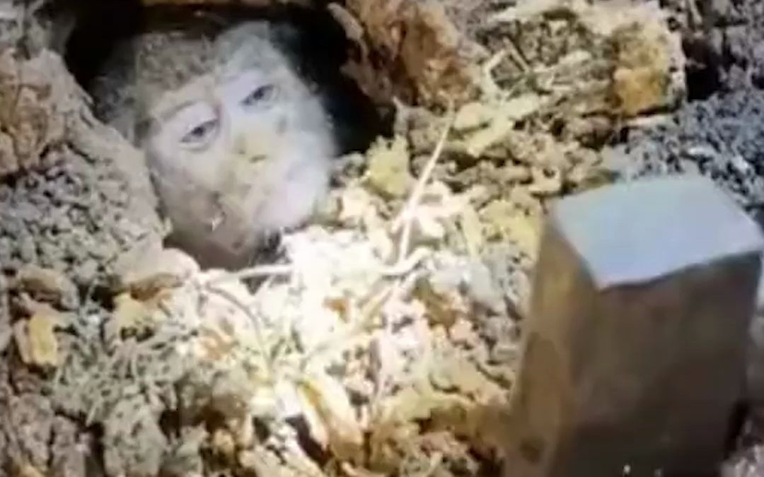 封面无法加载