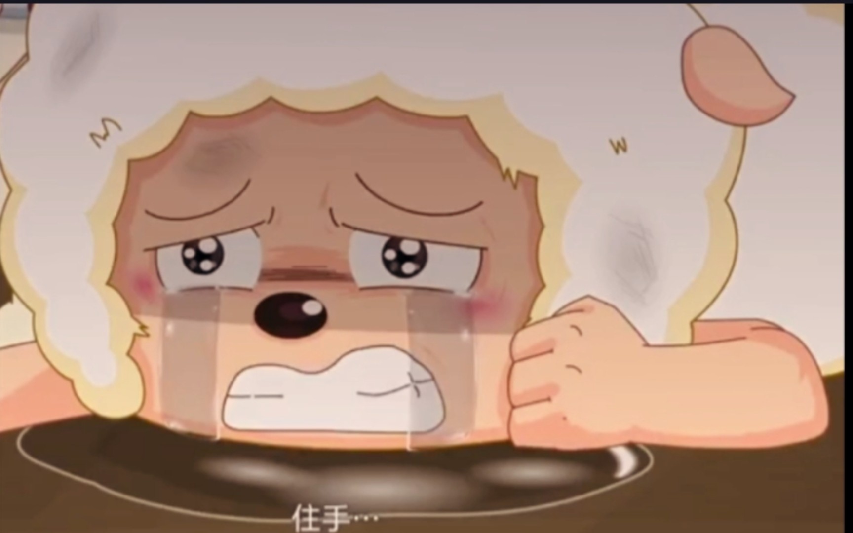 封面无法加载
