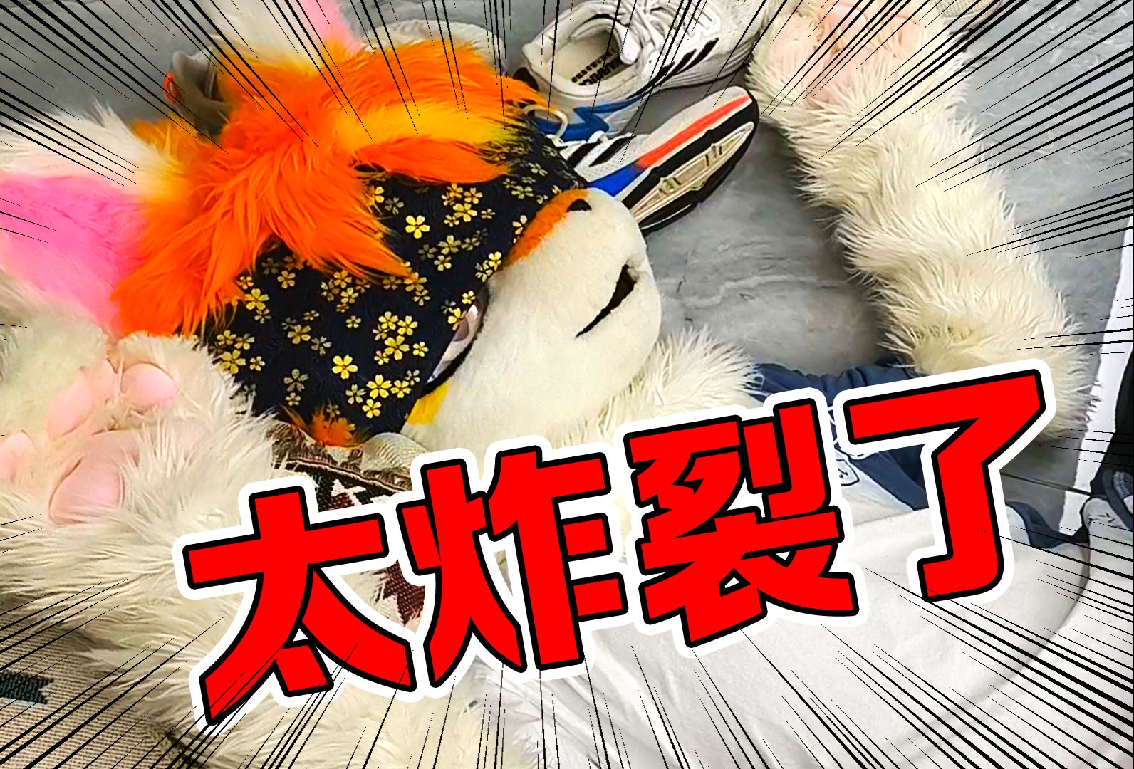 封面无法加载