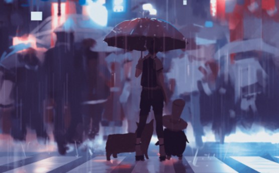 封面无法加载