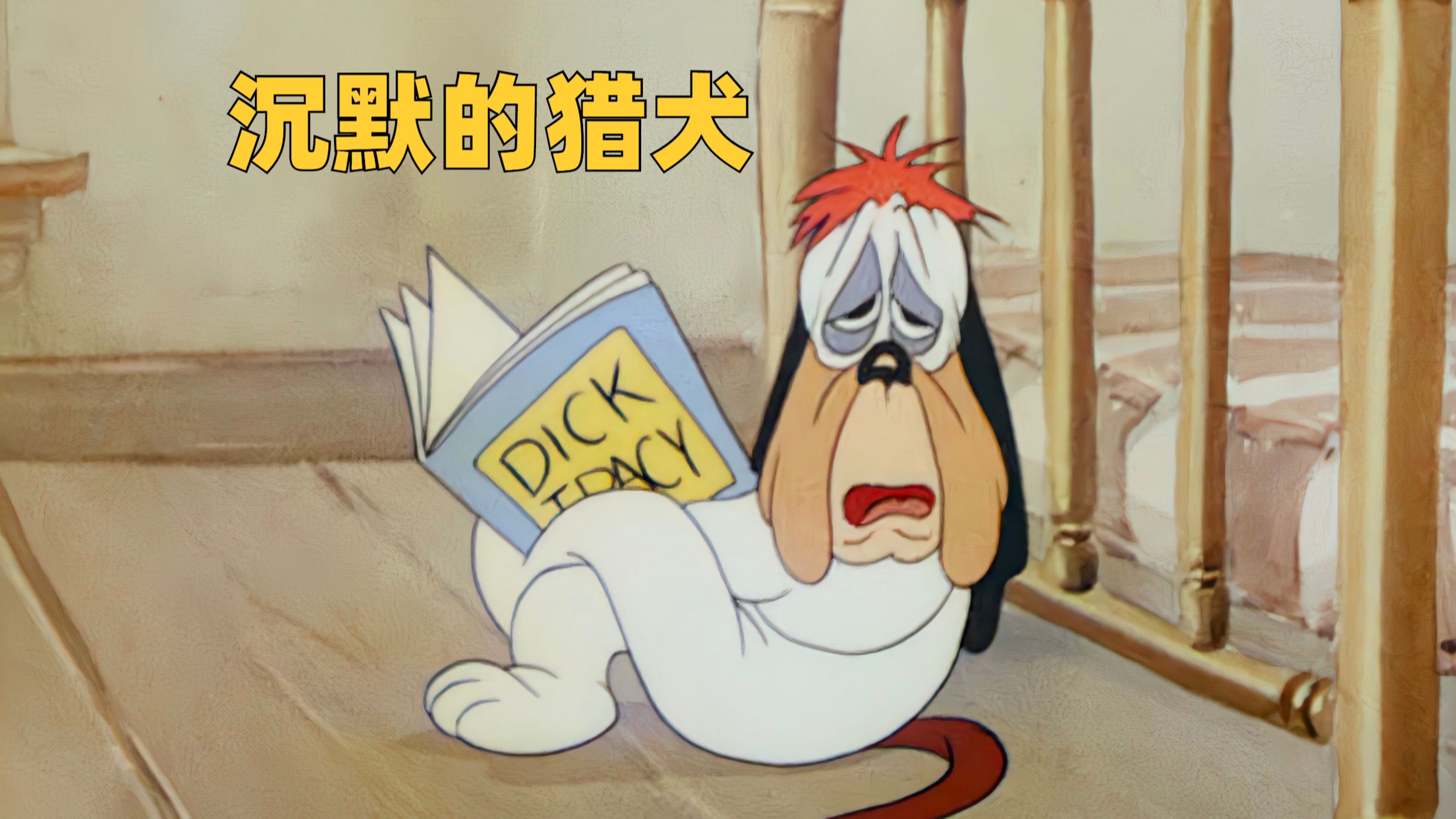 封面无法加载