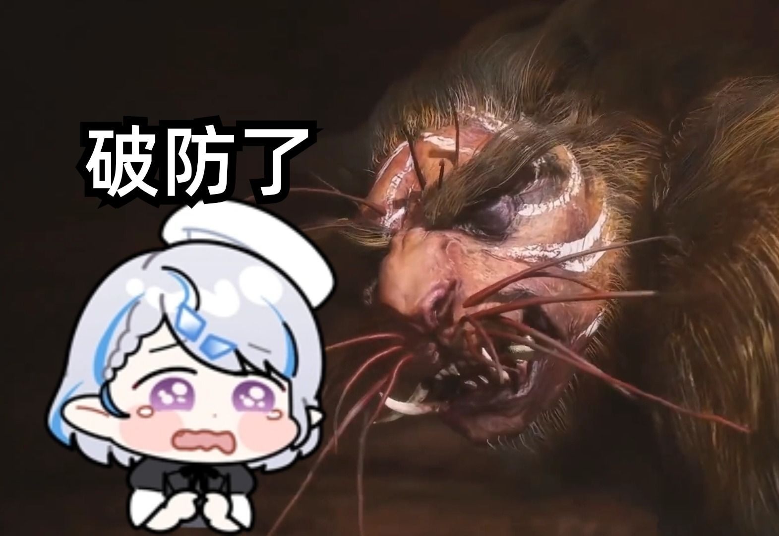 封面无法加载