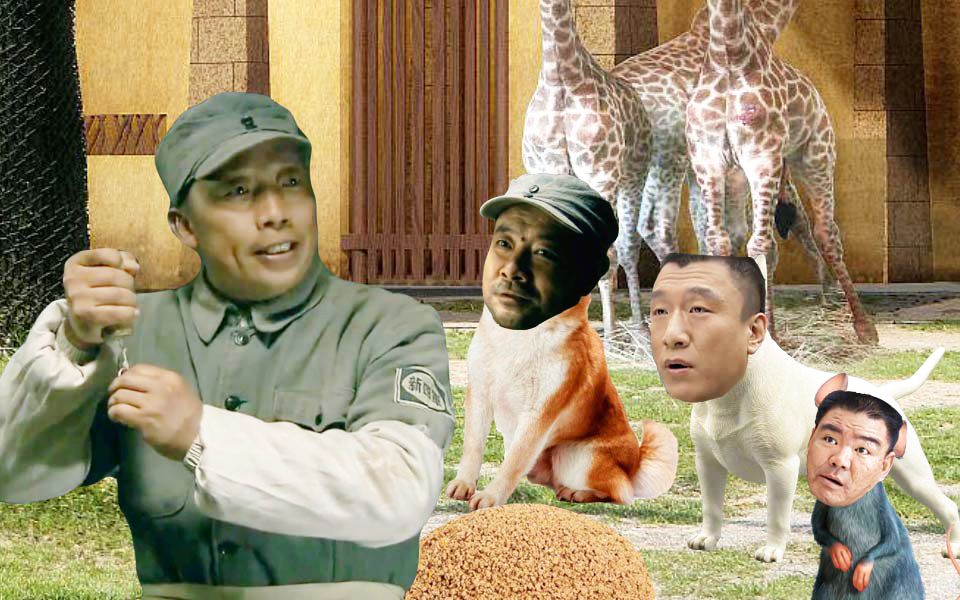 封面无法加载