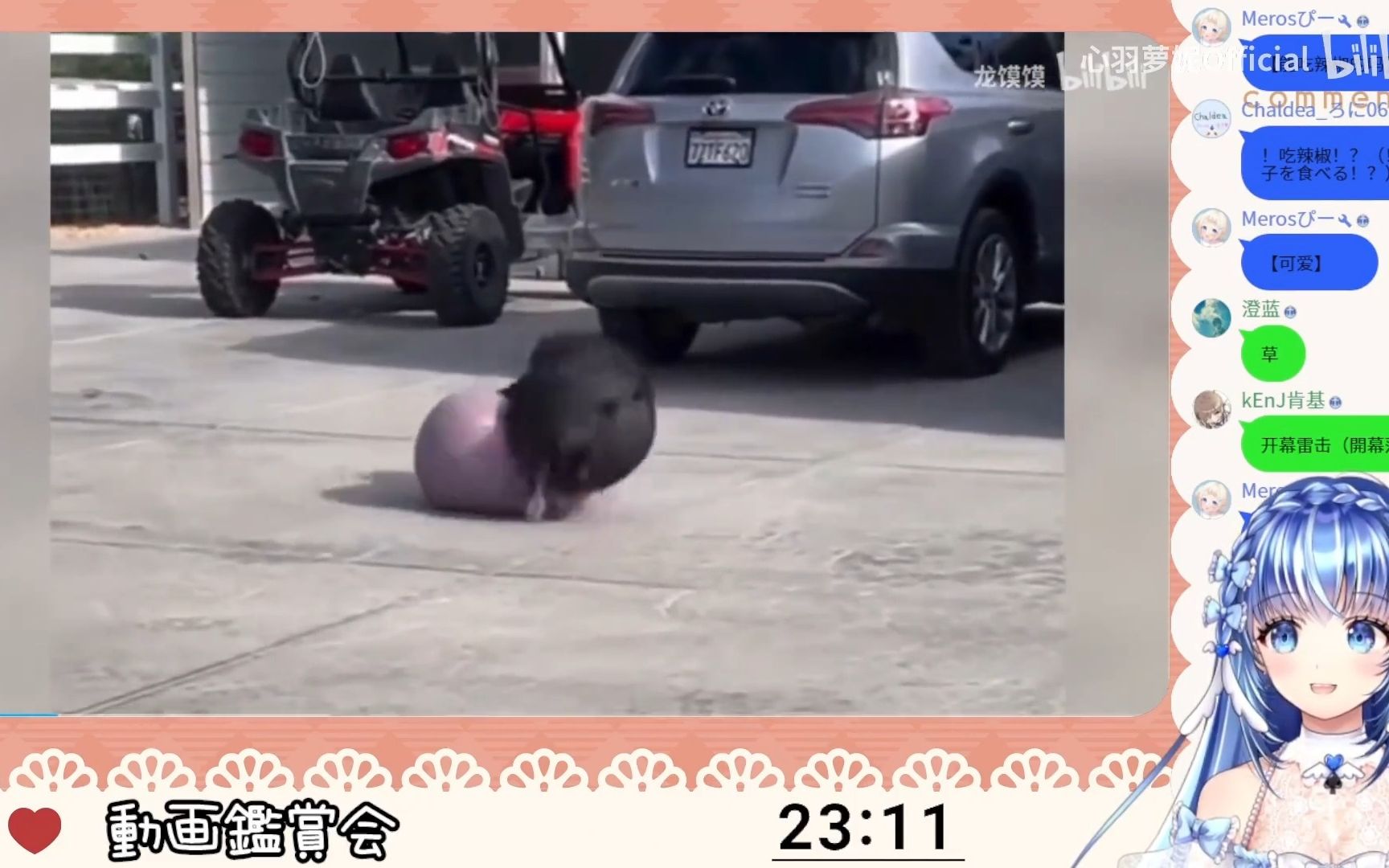 封面无法加载