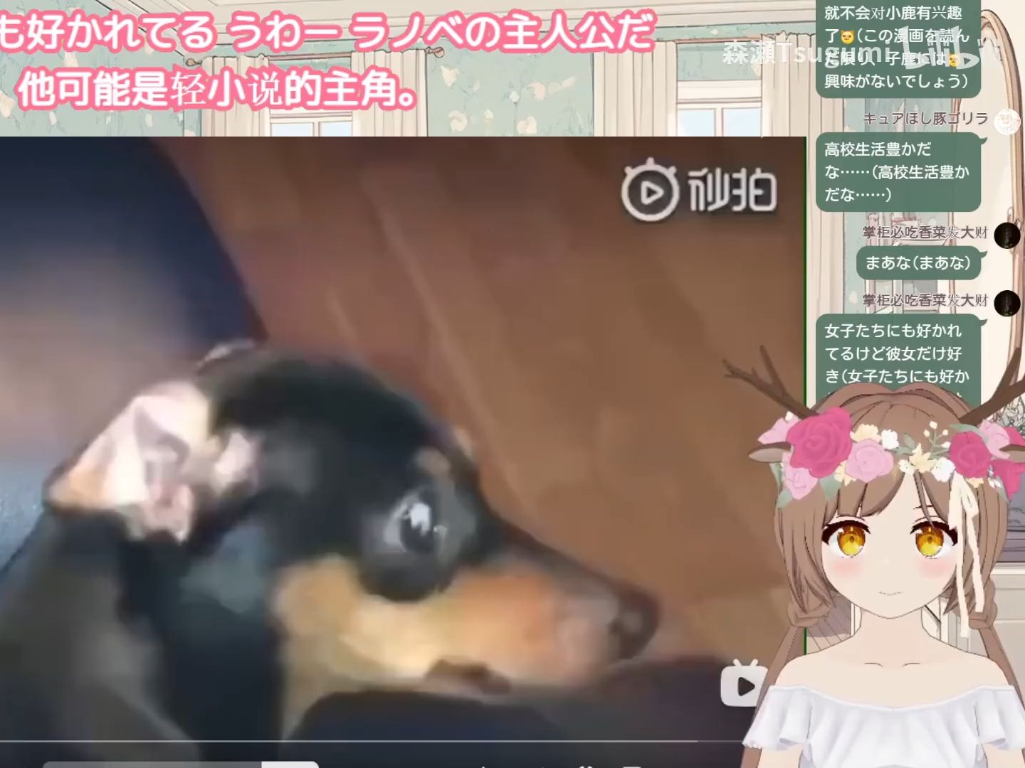封面无法加载