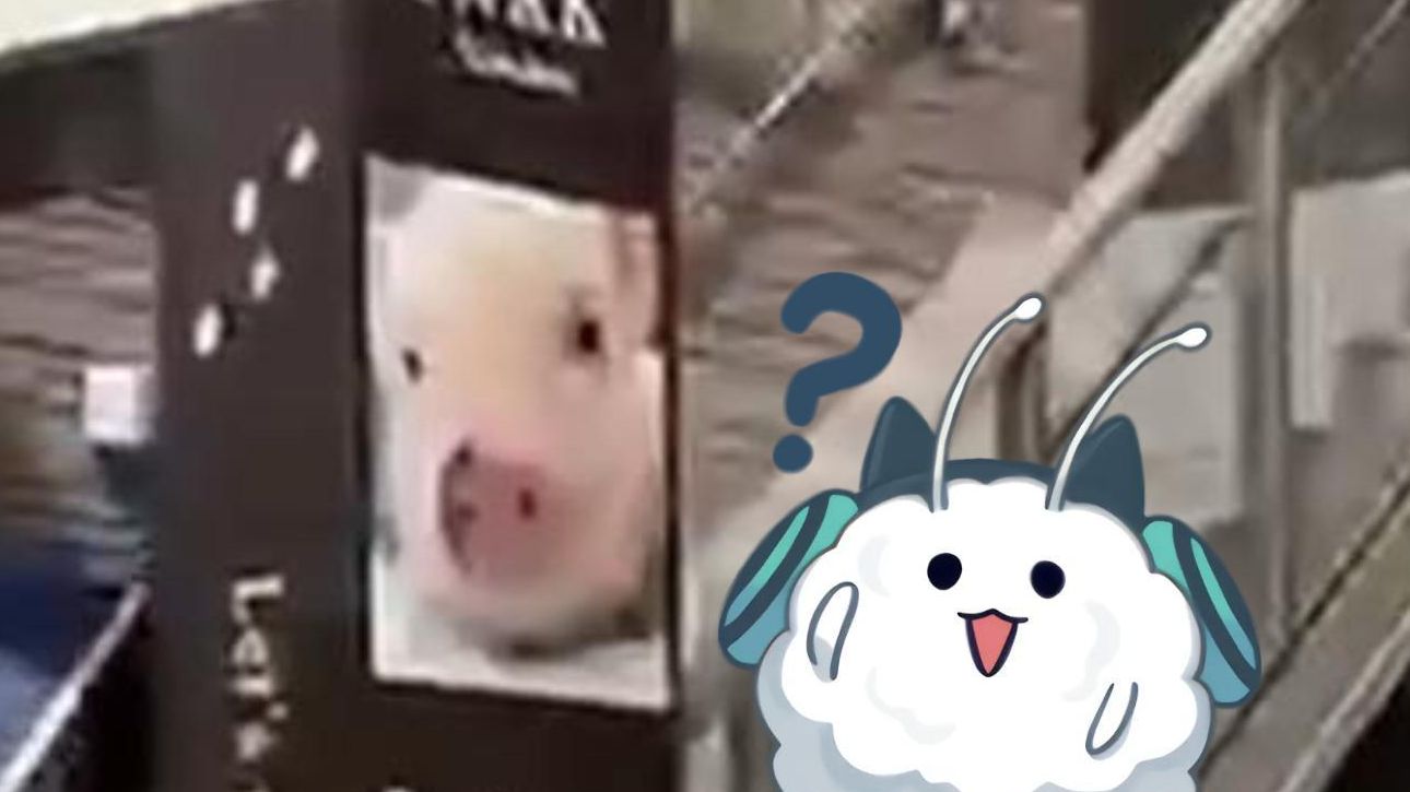 封面无法加载