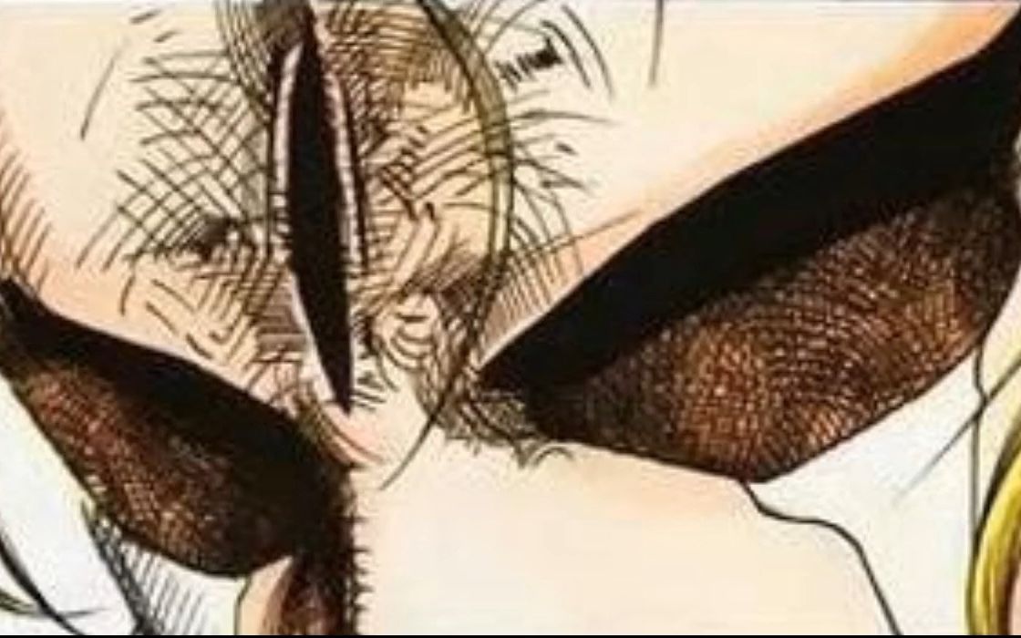 封面无法加载
