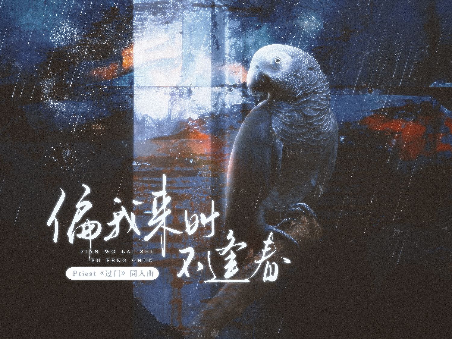 封面无法加载