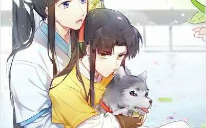 封面无法加载